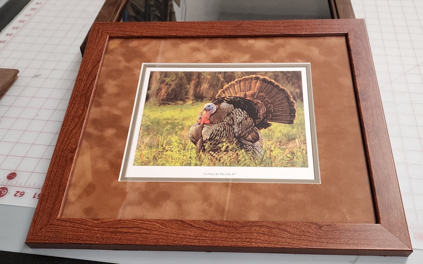Wildlife photograph framed with a warm mat and wood moulding by Redhawk Framing Studio in Vancouver, WA